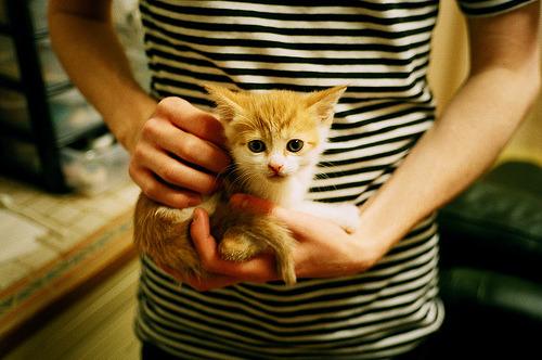 神话与破防，字母哥的不可阻挡与广东王朝的警钟