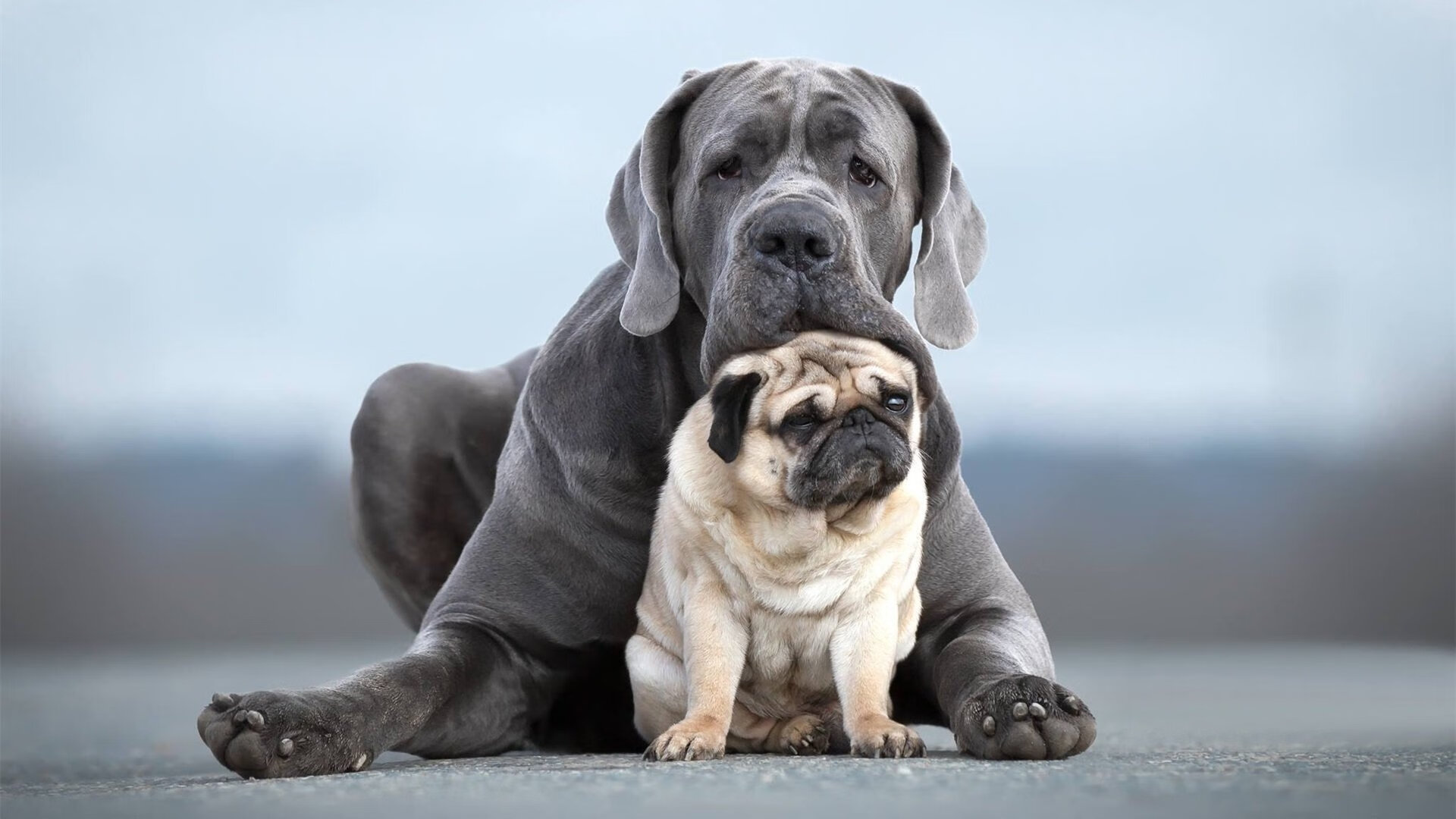 当足球遇见篮球，2045年回望2026那场定义跨界对决的传奇