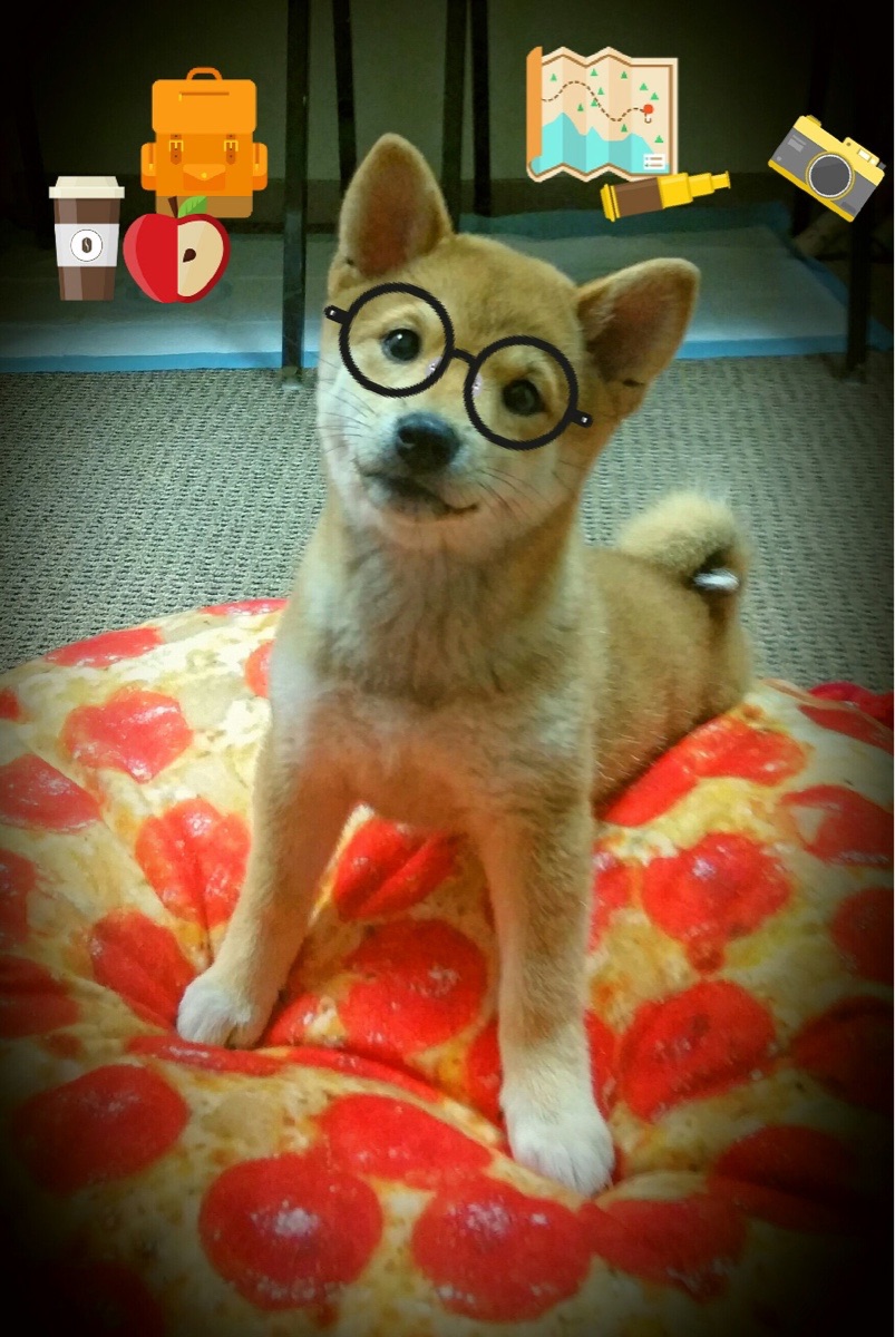 当足球遇见篮球，2045年回望2026那场定义跨界对决的传奇