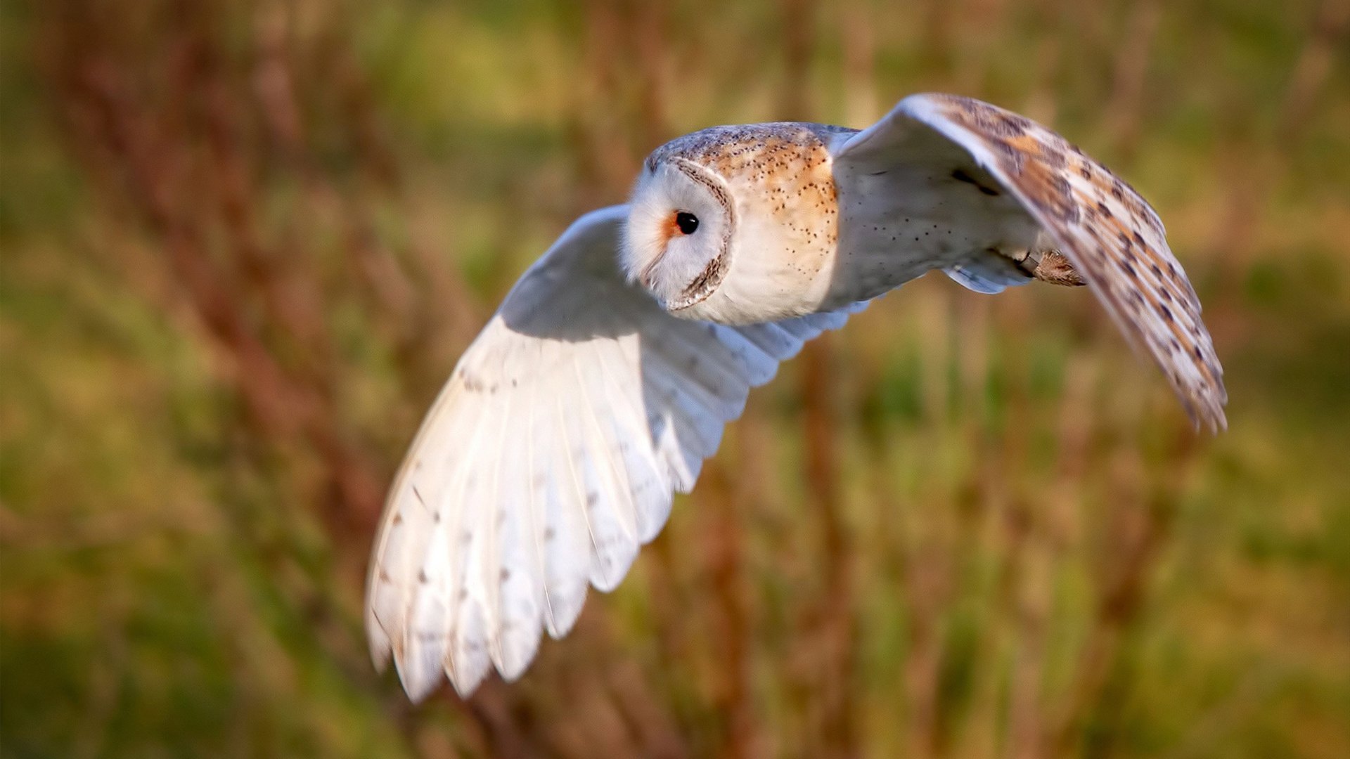 风暴眼中心的魔术师,当莱比锡红牛逆转乌拉圭,德布劳内如何改写剧本