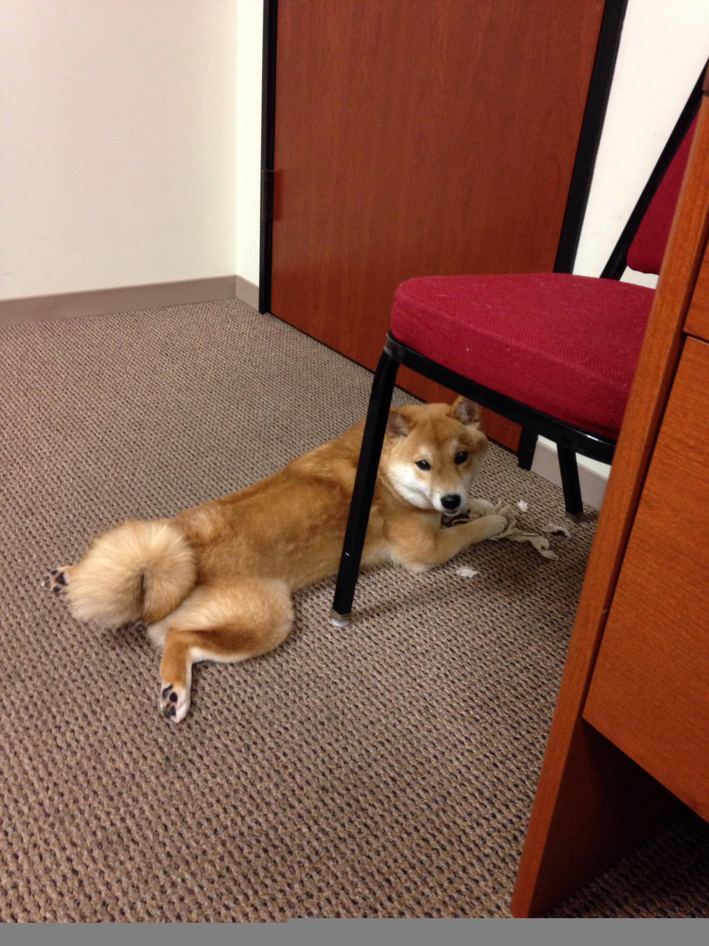 当水花溅落天山,骑士轻取新疆,克莱的完美证明之战