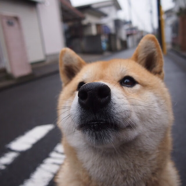 突破次元壁的统治力，当雷霆与哈登在同一夜诠释接管比赛的艺术