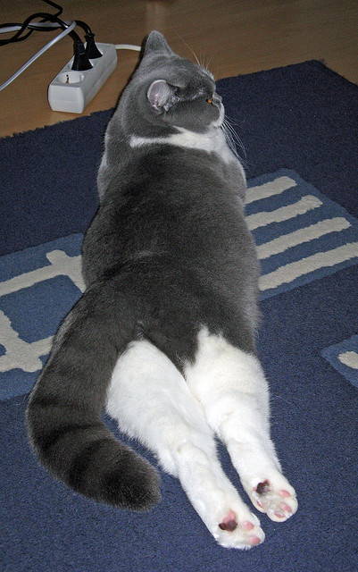 他的安静与风暴,英格拉姆的西决生死夜