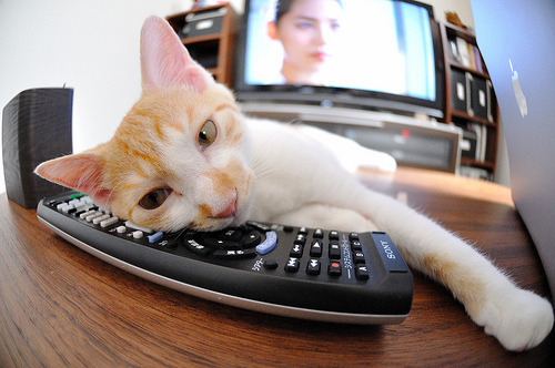 当德国引擎碾过摩纳哥海岸，格纳布里引爆安联球场，拜仁狂胜的战术密码