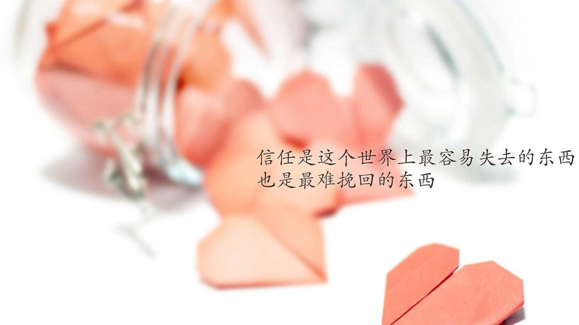 绿茵连线，当北欧雪豹与非洲雄鹰在卡瓦哈尔频道交锋