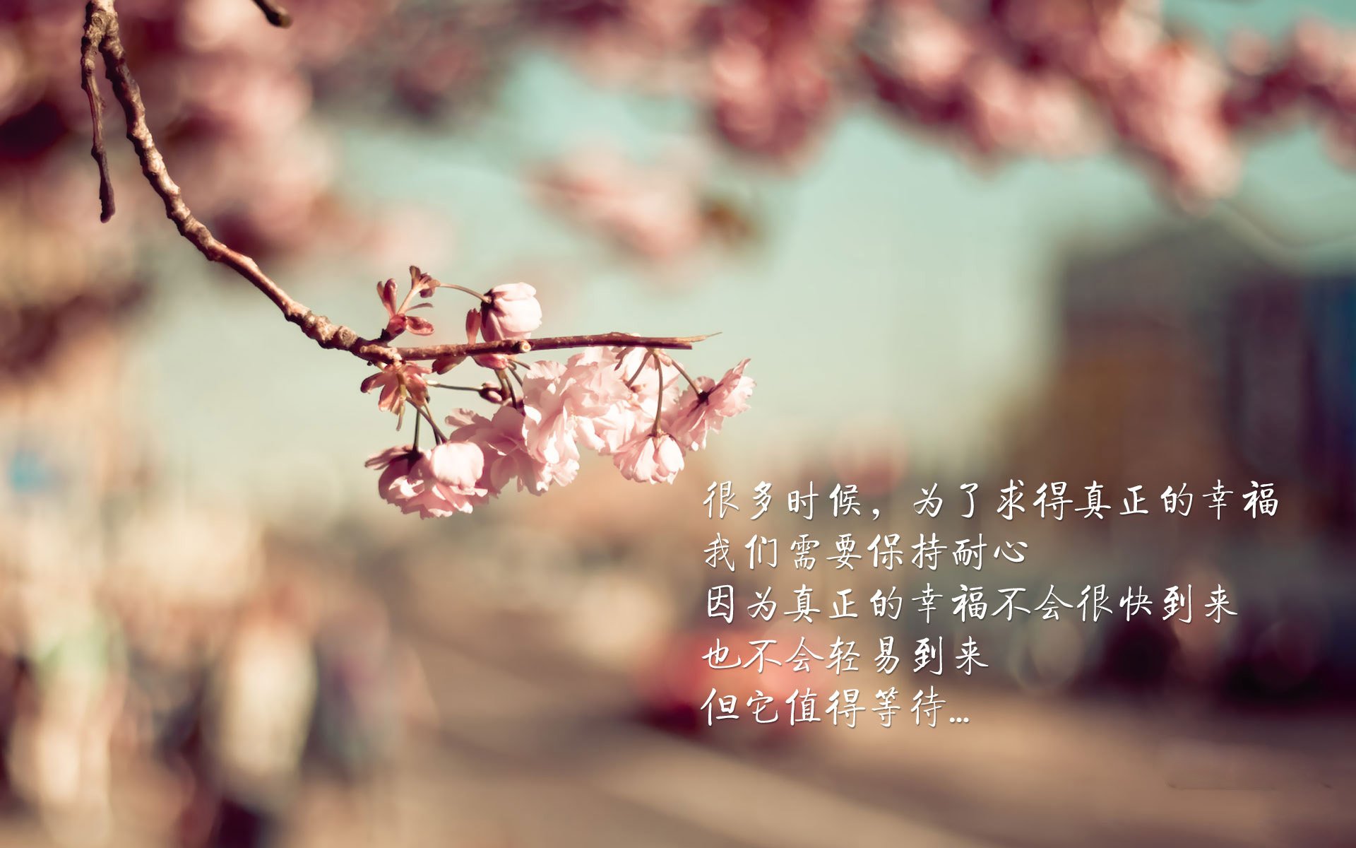 绝境中的闪电，阿联酋如何用一场非典型大胜，在2026世界杯B组写下唯一剧本