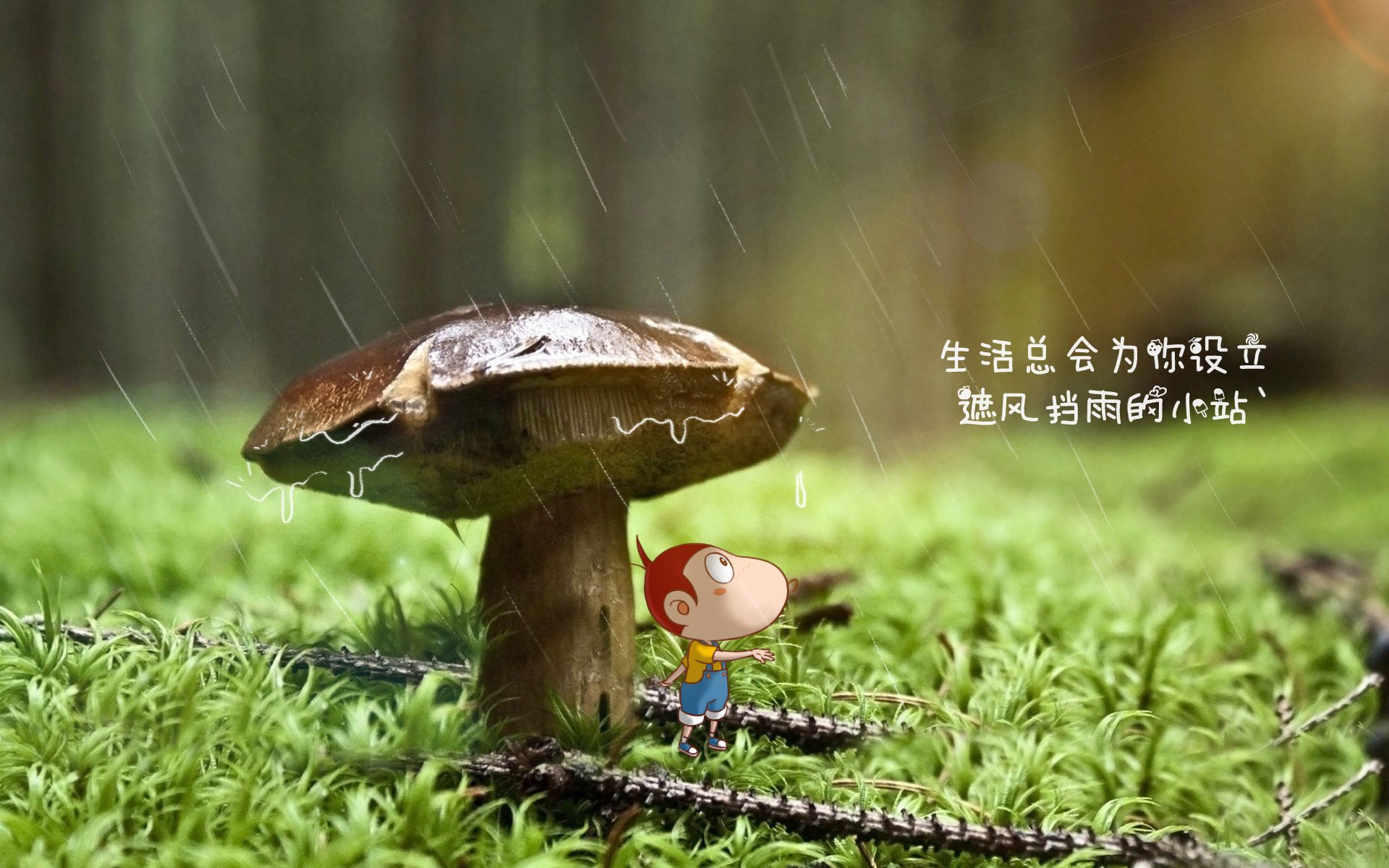 蓝衣军团的觉醒，2026世界杯H组，意大利横扫匈牙利，哈兰德独木难支